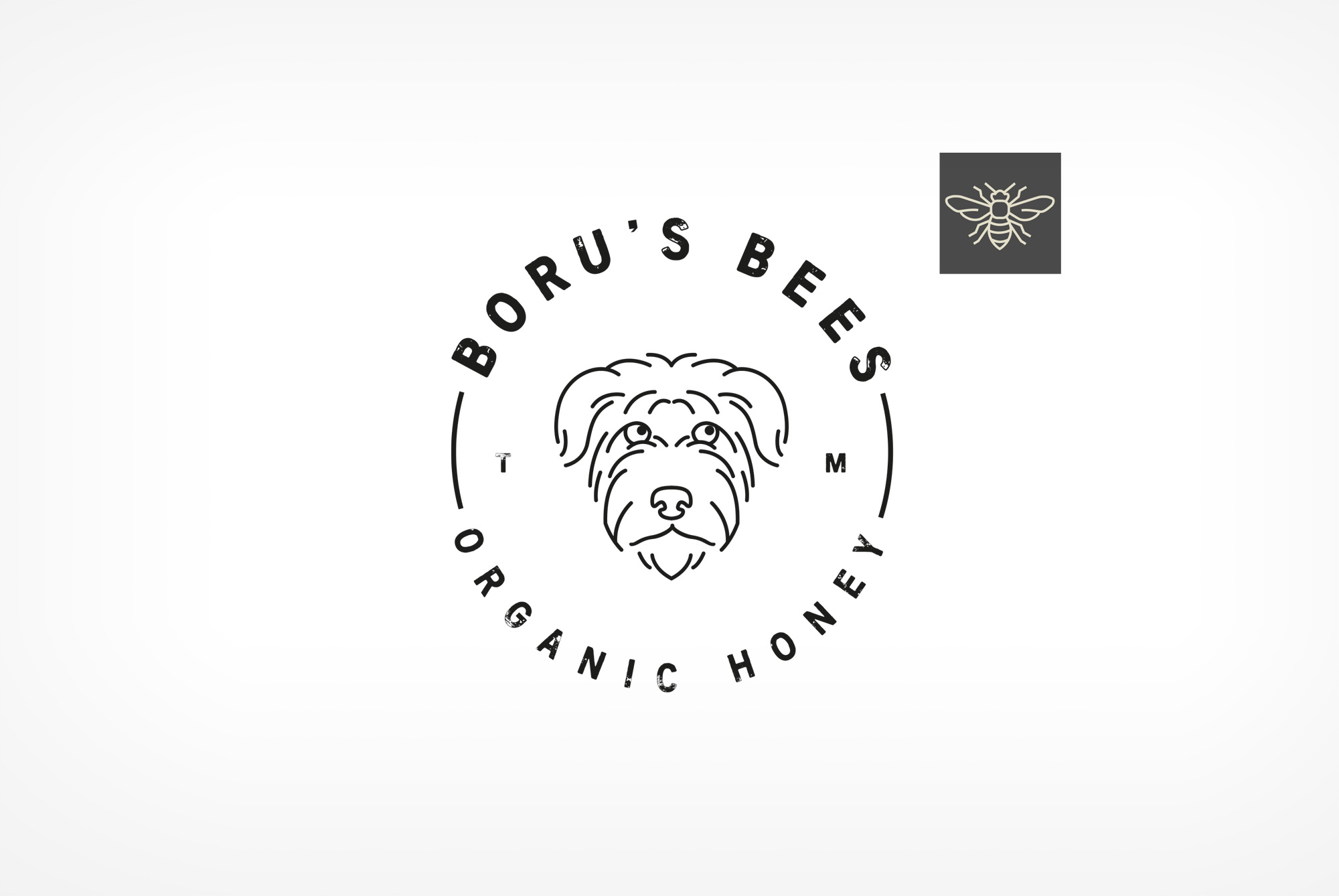 Brand logo design for Boru's Bees Organic Honey.
